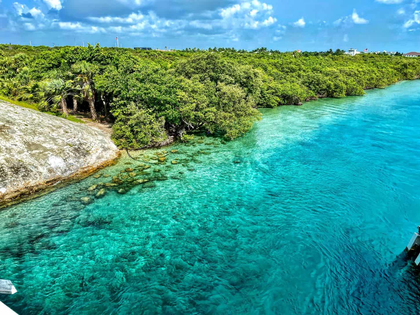 Palm Beach Gardens Home Buyers: Top Buyer’s Agent Representation